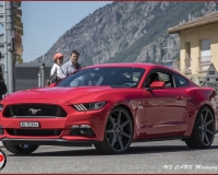 TSR Watermark - 0649